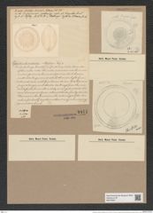 Hyalodiscus radiatus (O'Meara) Grun. (de-Toni-Nr.: Genus 219, Species 5497) Zeichnungen Sammlung Grunow Nr. 9444 (NHMW-BOT-W0379301)